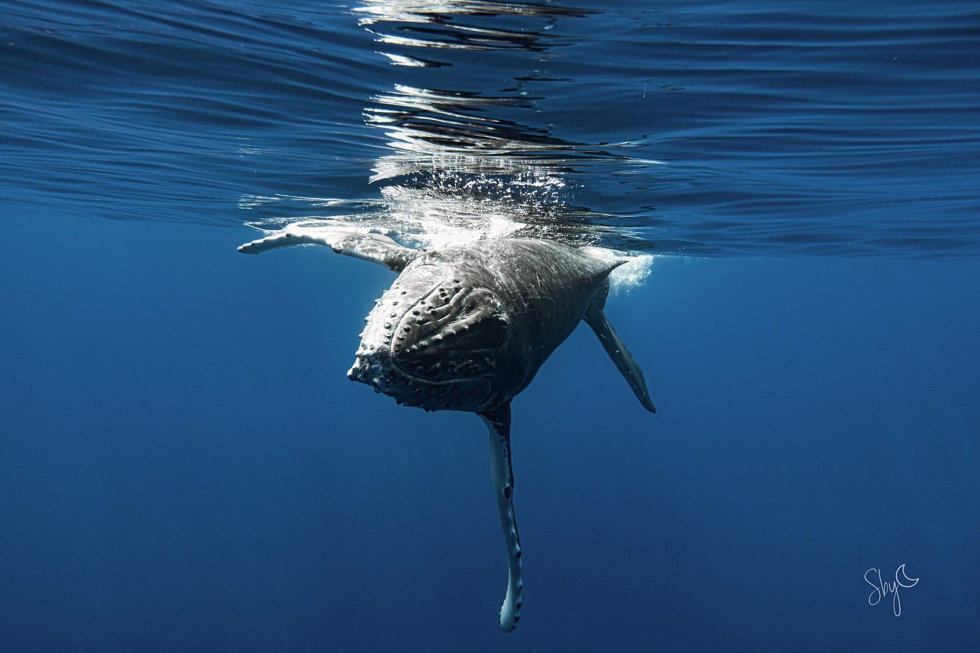 “Garder l’espoir : Jusqu’à la dernière minute”