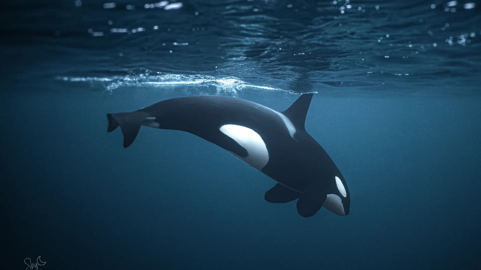 “Le calme d’après”