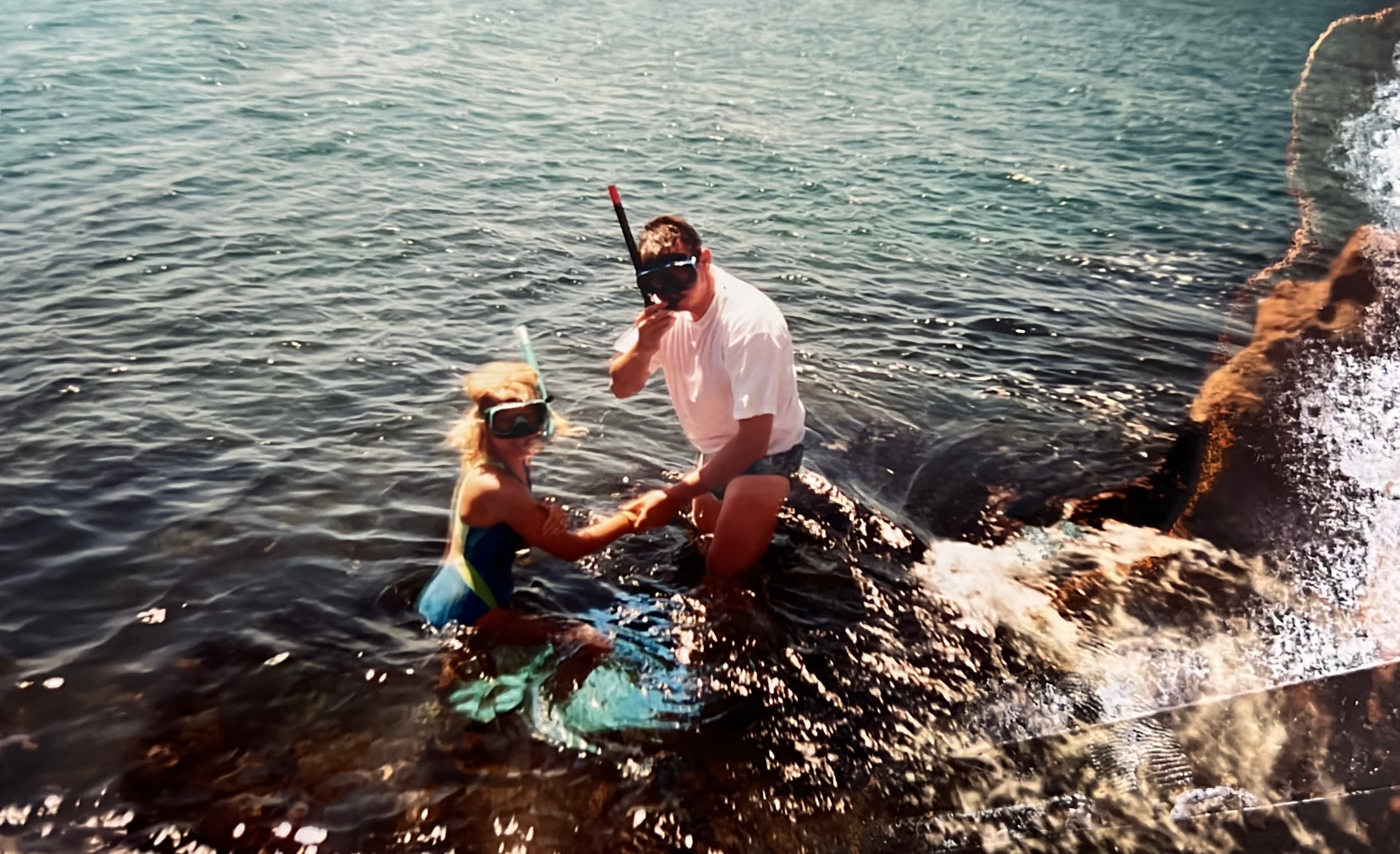 Guide cétacés : un vrai métier, une formation rare