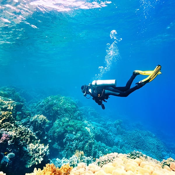 Plongée sous-marine